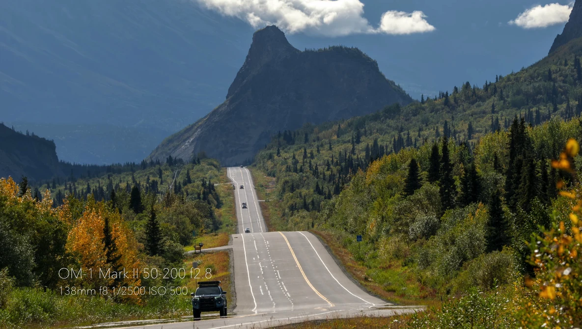 Straight mountain road stretching toward a dramatic peak, lined with coniferous forest and golden wildflowers under blue sky.