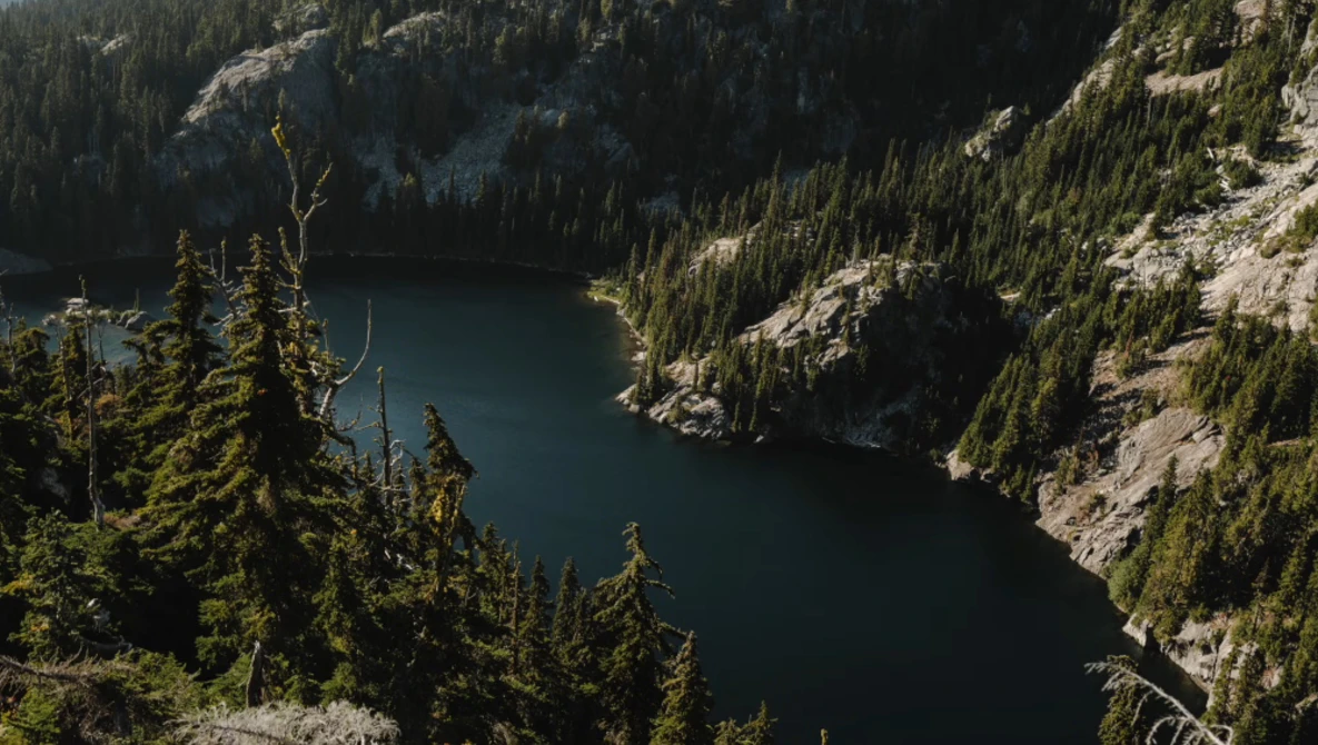 Alpine lake surrounded by dense evergreen forest and rocky granite peaks under bright daylight.
