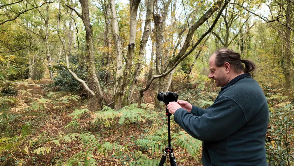 Photographer using a tripod-mounted camera in a forested woodland setting during golden hour.