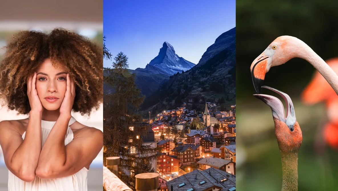 Portrait of woman with voluminous curly hair, alpine mountain town at dusk, and close-up of flamingo's head and neck.