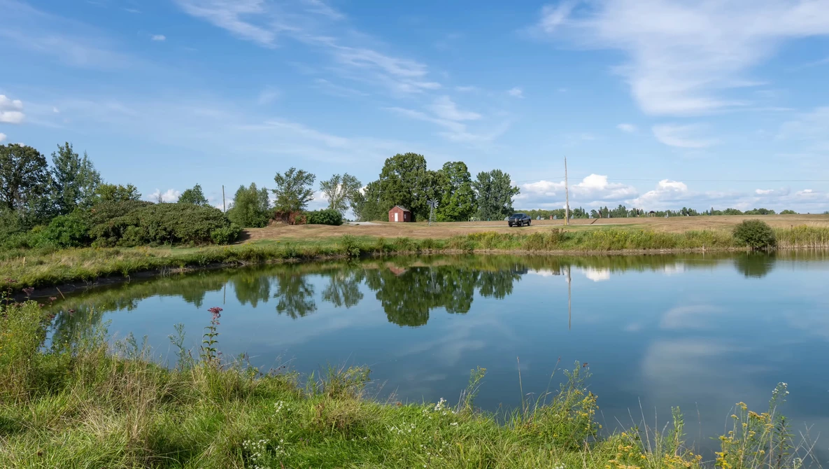 Rural landscape with calm river reflecting blue sky, trees, and distant buildings along grassy banks.