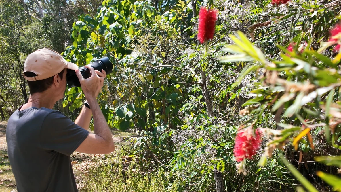 Photographer with camera and telephoto lens capturing red flowers in a garden setting.