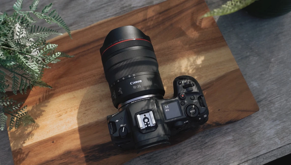 Canon mirrorless camera with RF-mount lens on wooden surface with fern foliage.