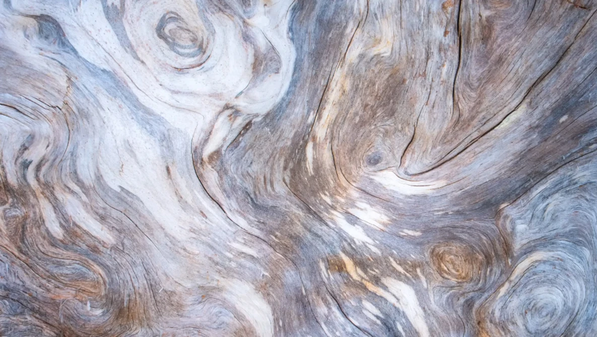 Close-up of weathered wood surface with swirling grain patterns and knots in cream, brown, and gray tones.