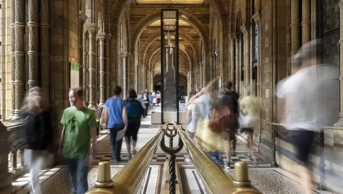 Blurred figures walking through a classical colonnade with arched ceilings and ornate columns.