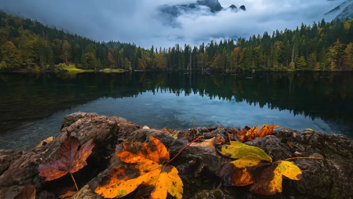 Autumn leaves on rocks at a calm alpine lake surrounded by evergreen forest and misty mountains.