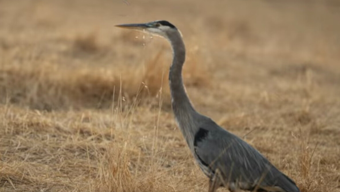 Watch Masking Shortcuts Lightroom Classic on YouTube.