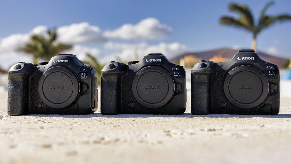 Three Canon EOS R5 mirrorless camera bodies arranged in a row on sand with palm trees and mountains in background.