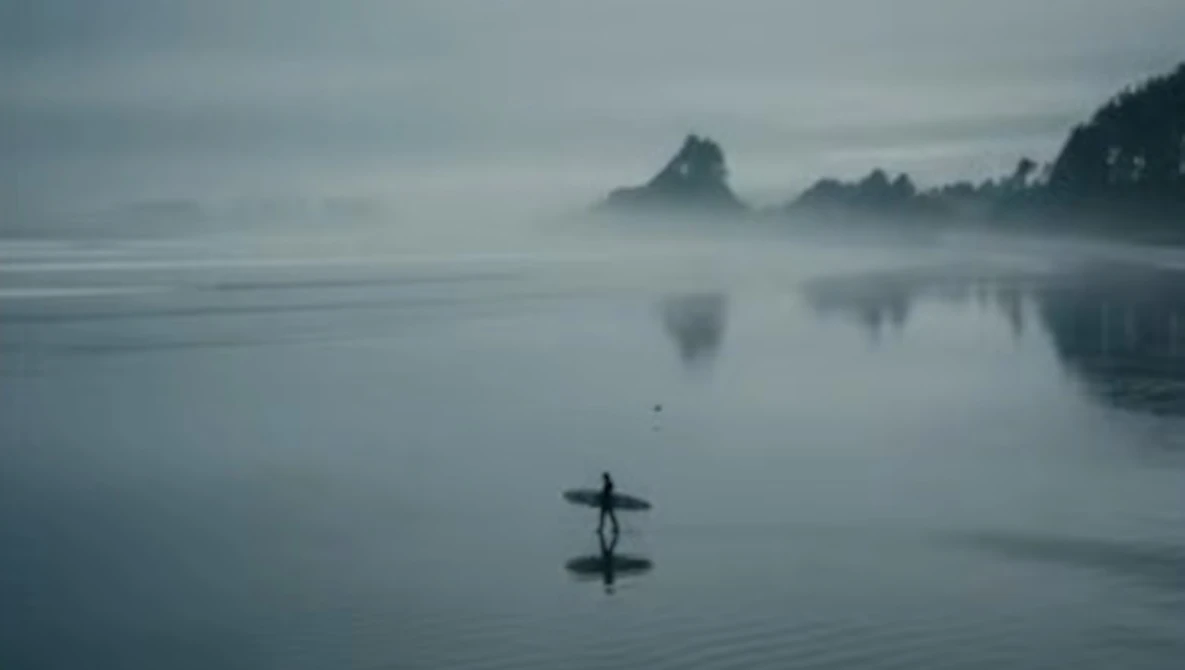 Surfer carrying board walking into misty water with forested coastline and rock formations reflected in calm sea.