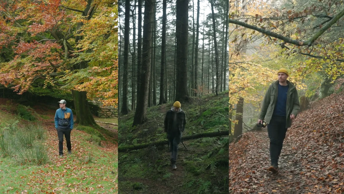 Three people hiking through autumn forests with varying terrain and lighting conditions.