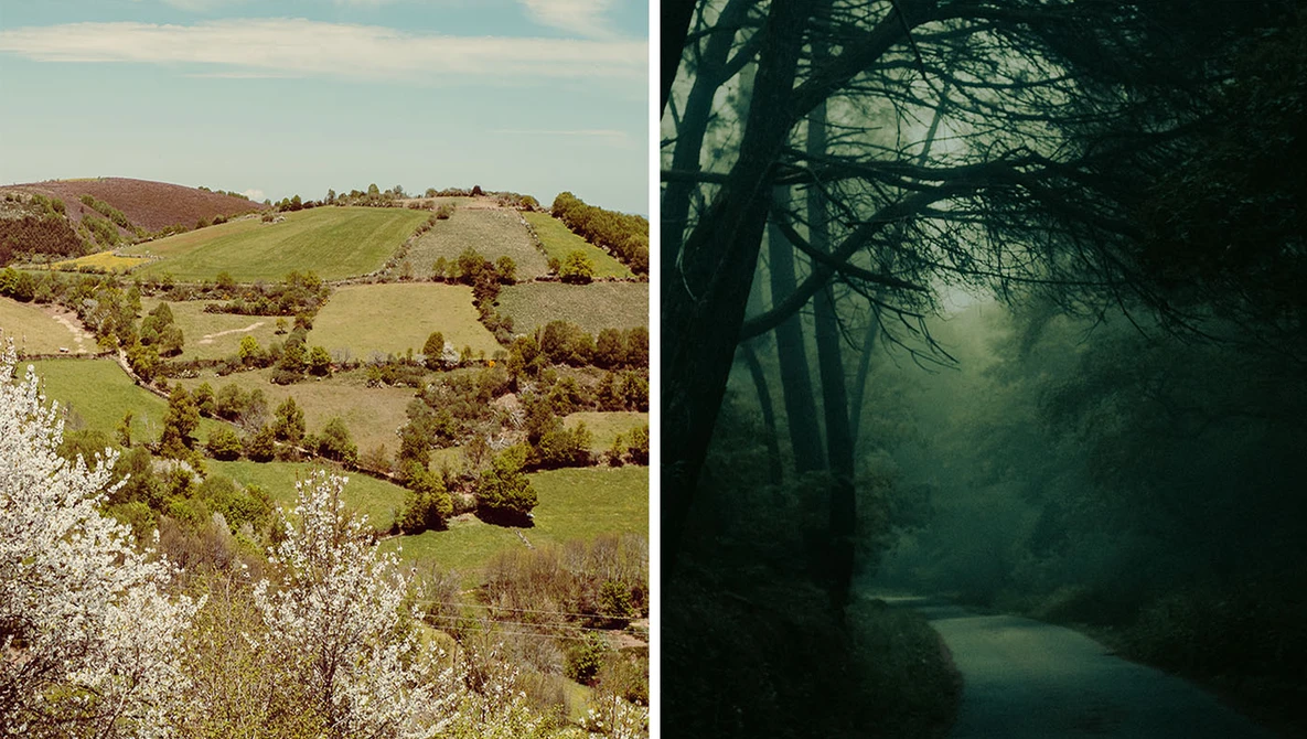 Split-screen comparison of pastoral landscape and moody forest with stream.