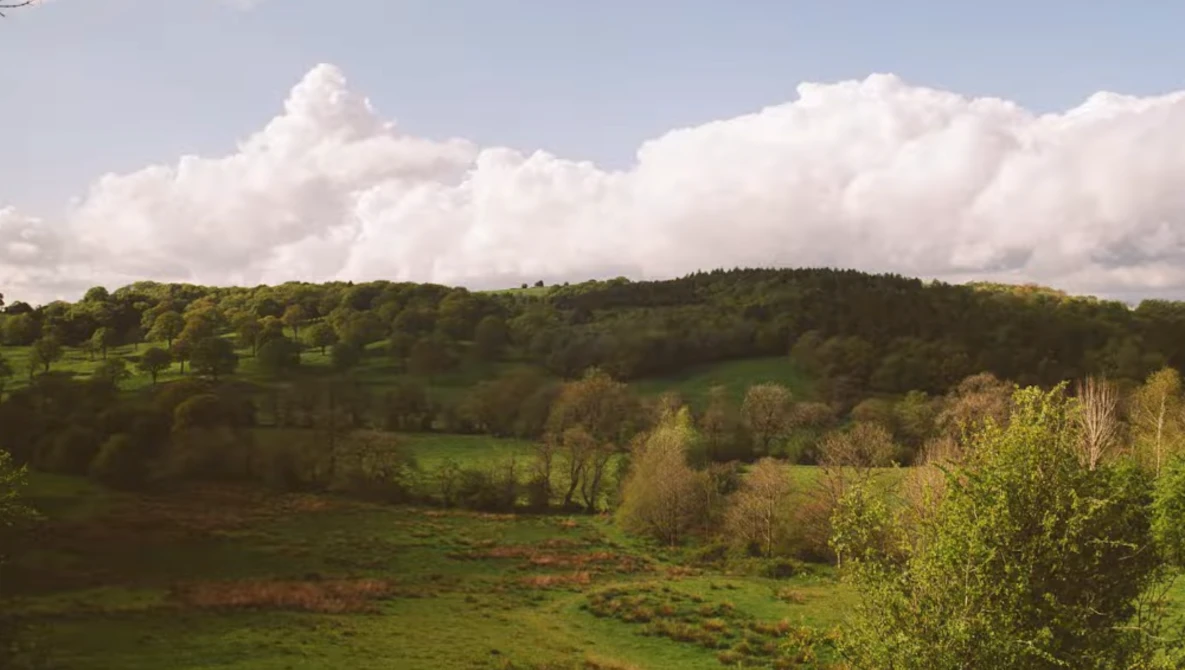 Rolling green valley with mixed deciduous and coniferous forest under dramatic cumulus clouds.