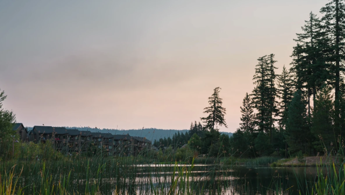 Serene lake landscape with coniferous forest and distant mountains under overcast sky.
