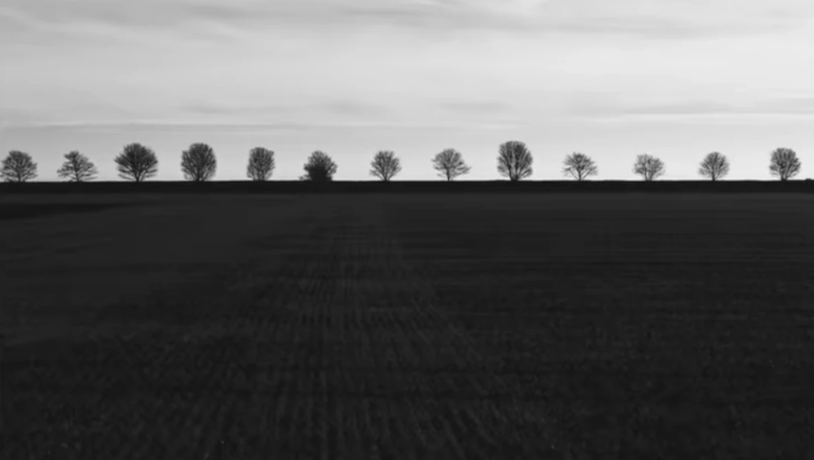 Row of bare trees silhouetted along the horizon above a dark plowed field under overcast sky.
