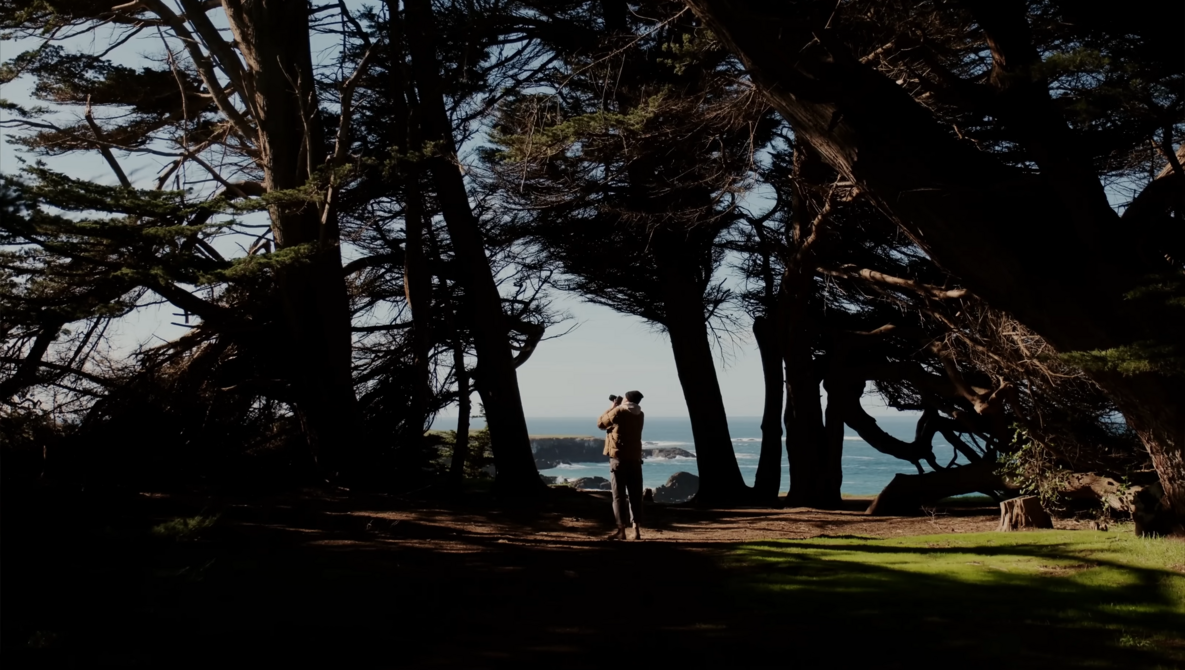 Watch Why the GFX 100 II Feels So Right - 1 Year Review on YouTube.