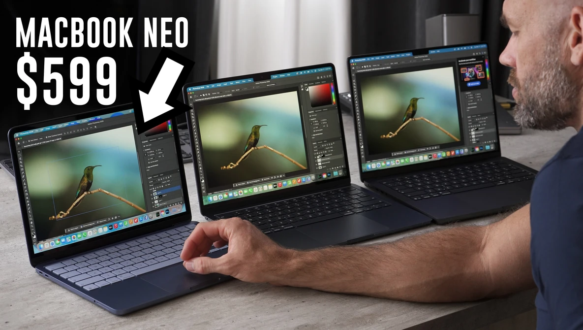 Three MacBook laptops displaying photo editing software with a bird image open on each screen.