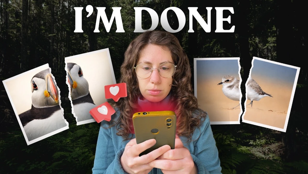 Woman holding smartphone with frustrated expression, surrounded by torn bird photographs with hearts and text overlay reading "I'M DONE.".