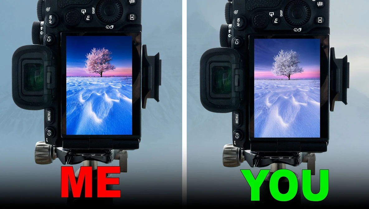 Side-by-side comparison of camera monitor displays showing the same snowy landscape with a pink-blossomed tree, labeled ME and YOU.