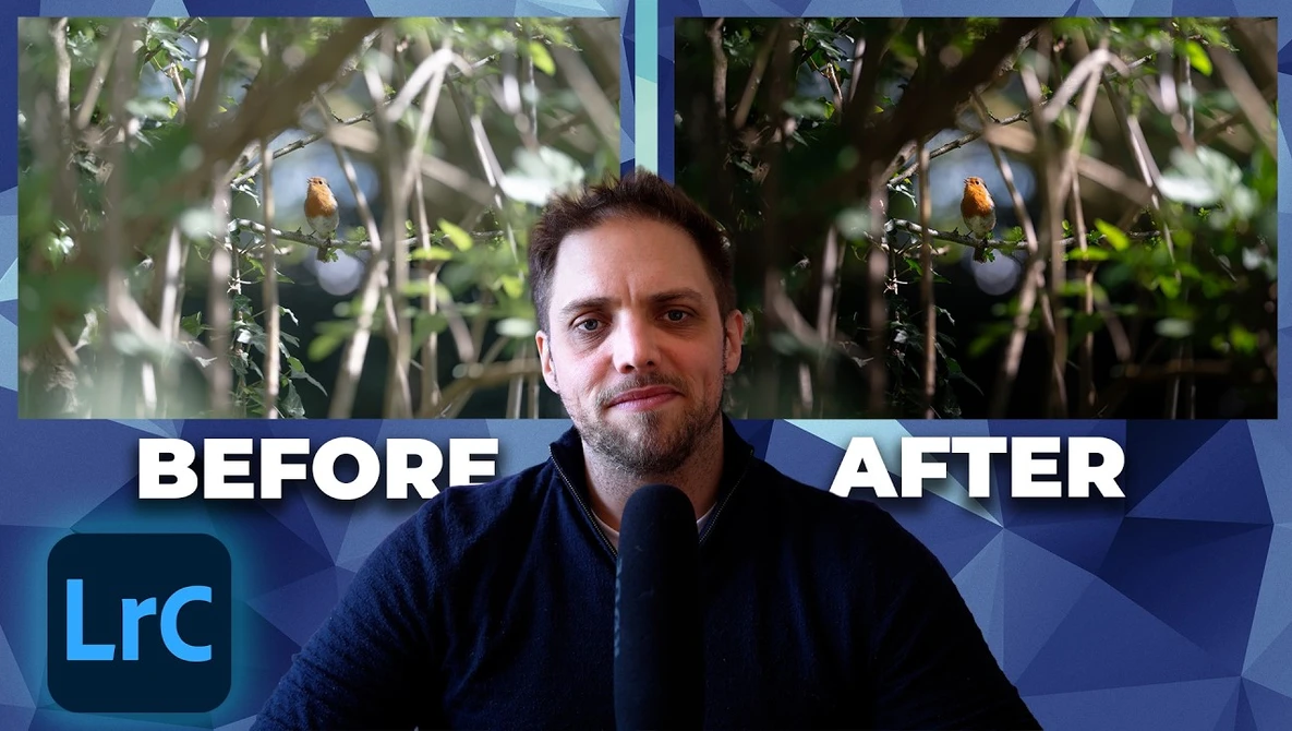 Screenshot showing before and after Lightroom color grading comparison of outdoor nature footage with a person in foreground.