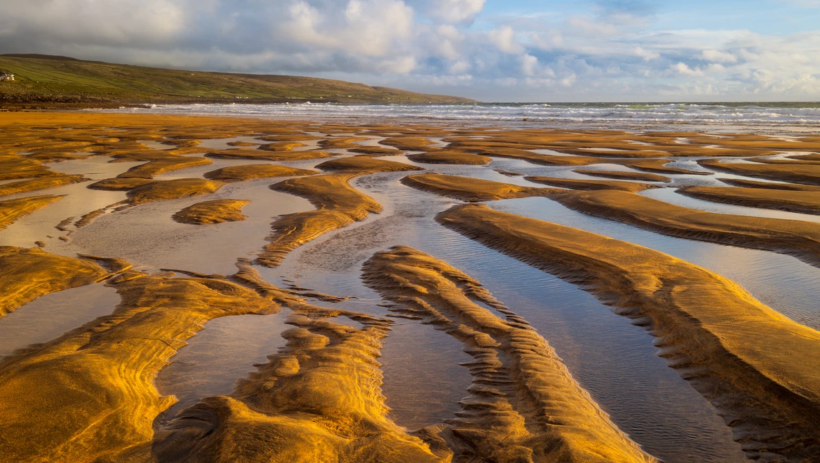 Tidal flats with golden-brown seaweed patterns and reflecting water channels under partly cloudy sky