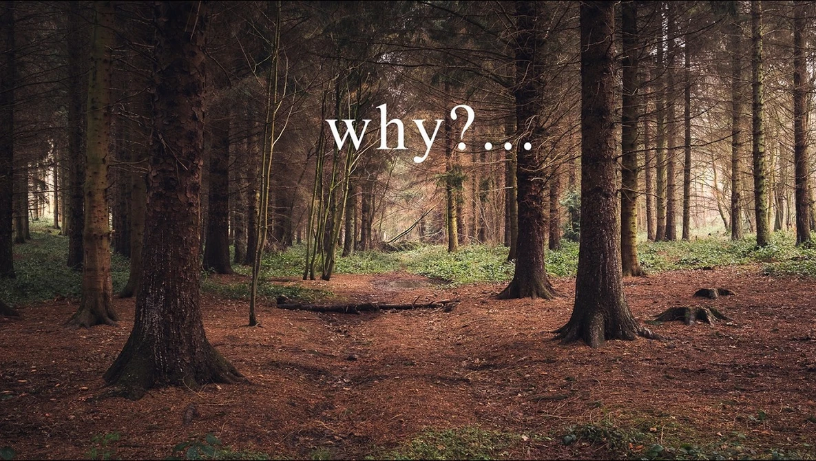 Watch Leave questions NOT answers in your photos on YouTube.
