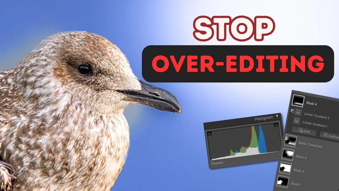 Graphic illustration featuring a seabird against blue sky with histogram display and text reading 'STOP OVER-EDITING'