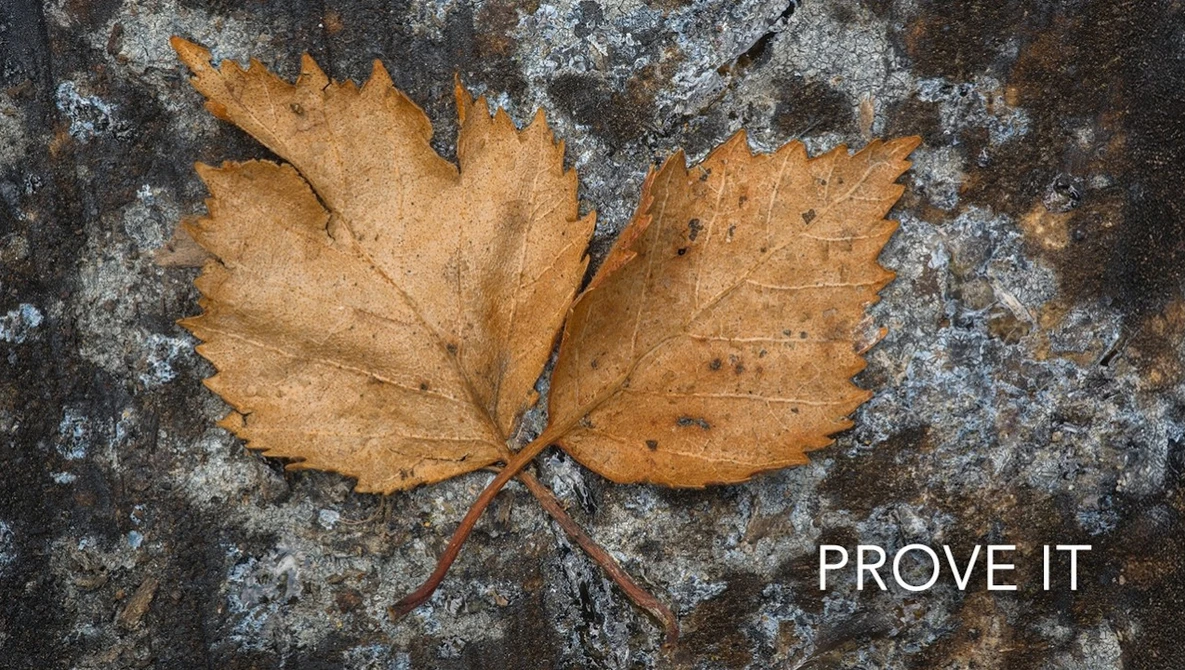 Watch I can prove that great images are under your nose on YouTube.