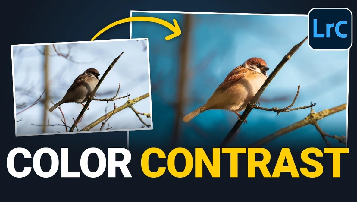 Watch Making the Subject POP with COLOR CONTRAST (Lightroom Editing) on YouTube.