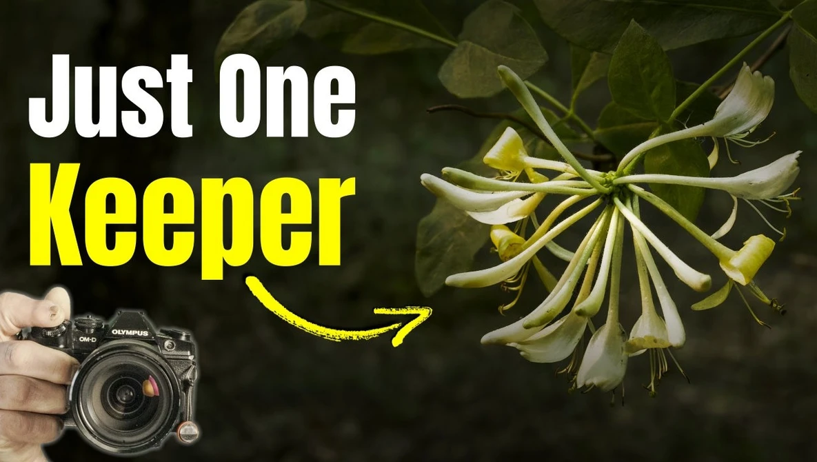 Graphic overlay showing delicate white flowers with yellow arrow pointing to text 'Just One Keeper' and DSLR camera held in hand
