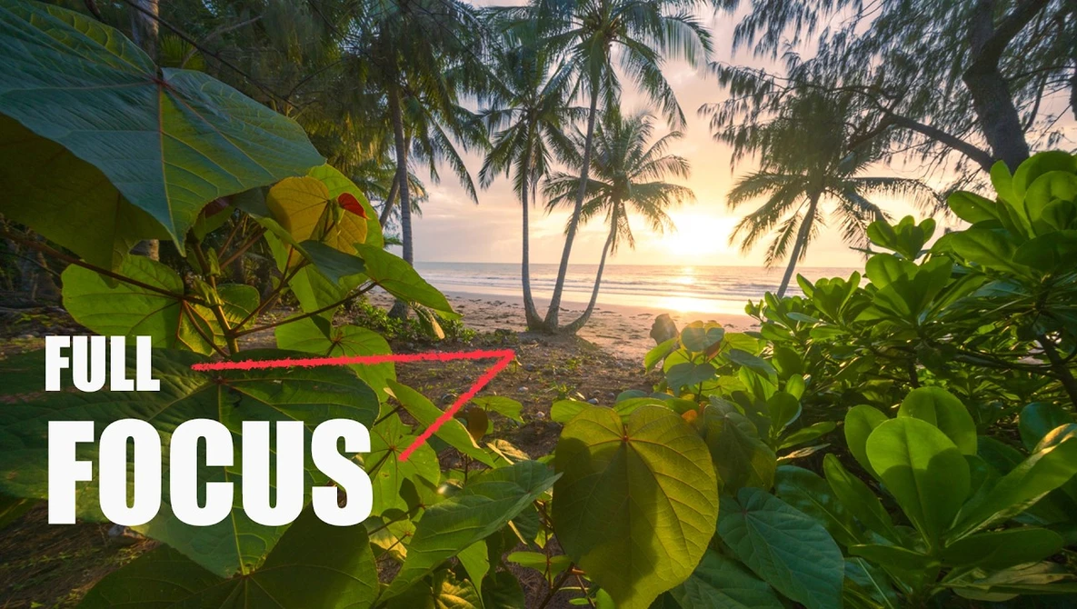 Tropical beach at sunrise with palm trees framing lush foreground vegetation and ocean horizon