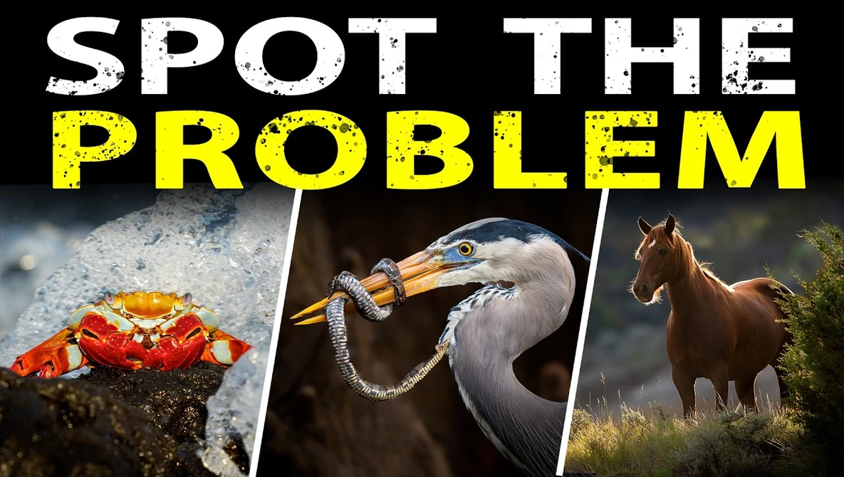 Watch The Hidden Skills That Get The Shot on YouTube.