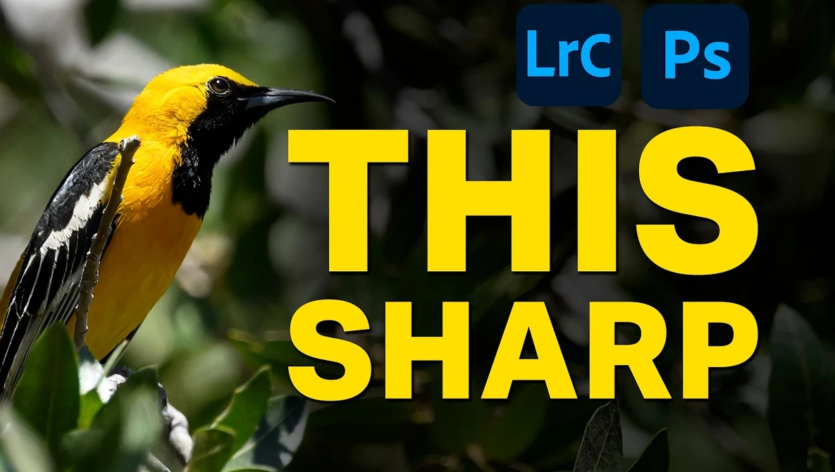 Watch How To Sharpen Photos  Lightroom and Photoshop on YouTube.