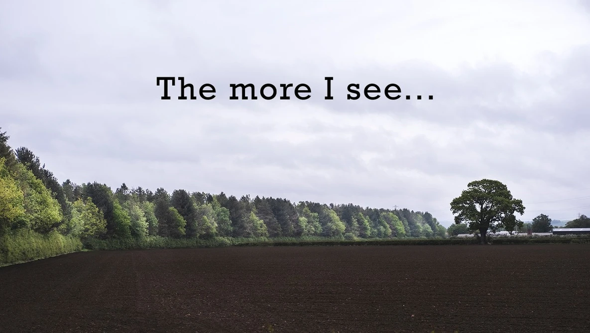 Rural landscape with plowed field, tree line, and single oak tree under cloudy sky