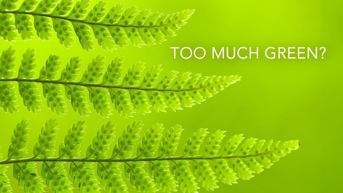 Watch Don't be put off by the Green Season on YouTube.