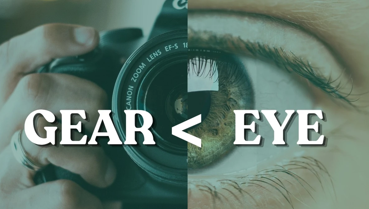 Watch 8 Hacks to get Amazing Wildlife Photos with ANY gear on YouTube.