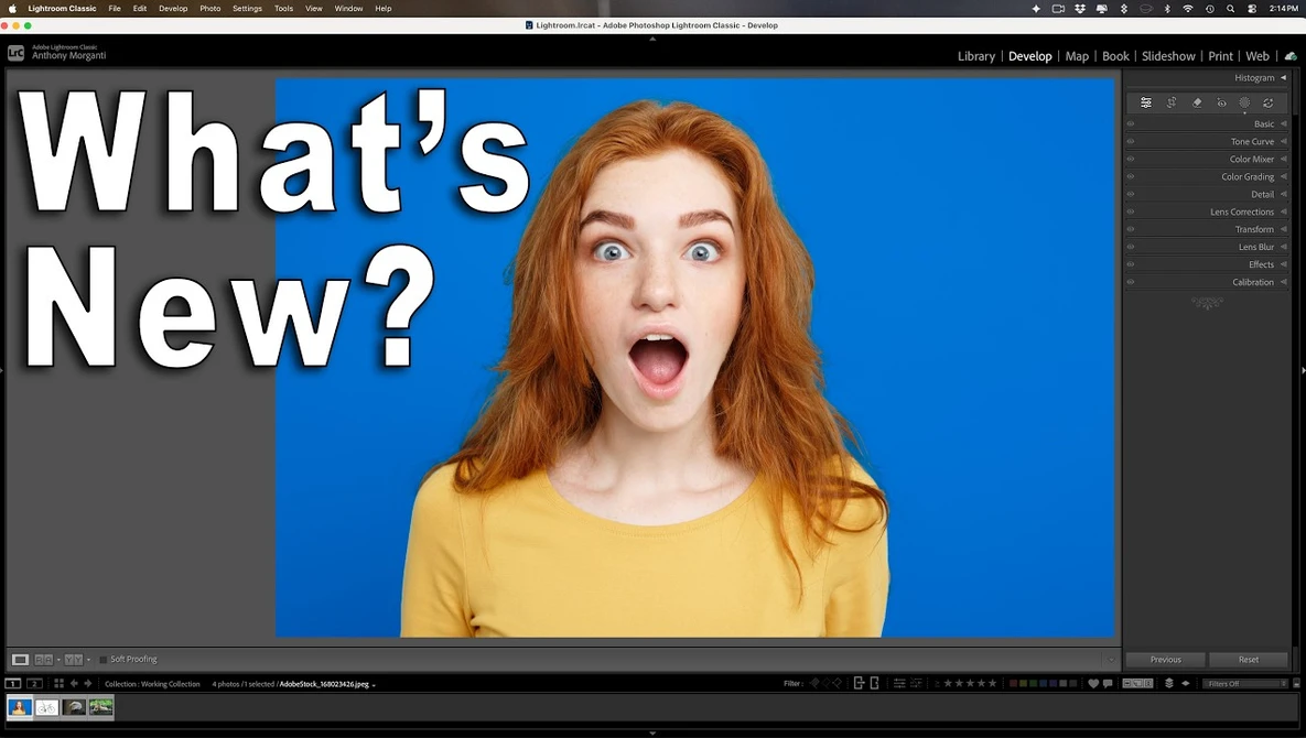Graphic with woman against blue background and text overlay reading "What's New?"