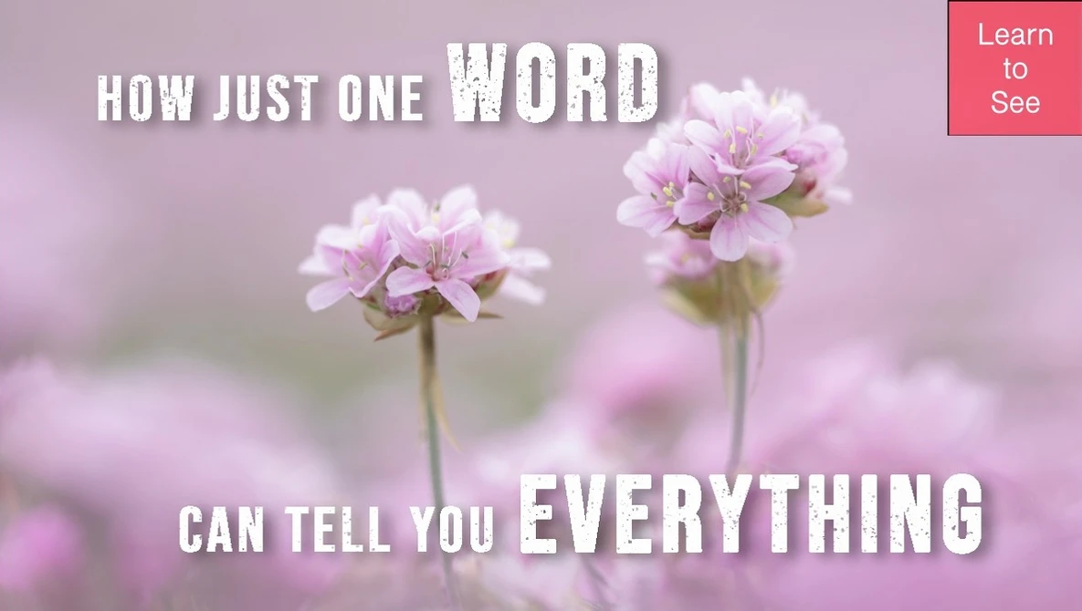 Watch How Just One Word Can Tell You Everything on YouTube.