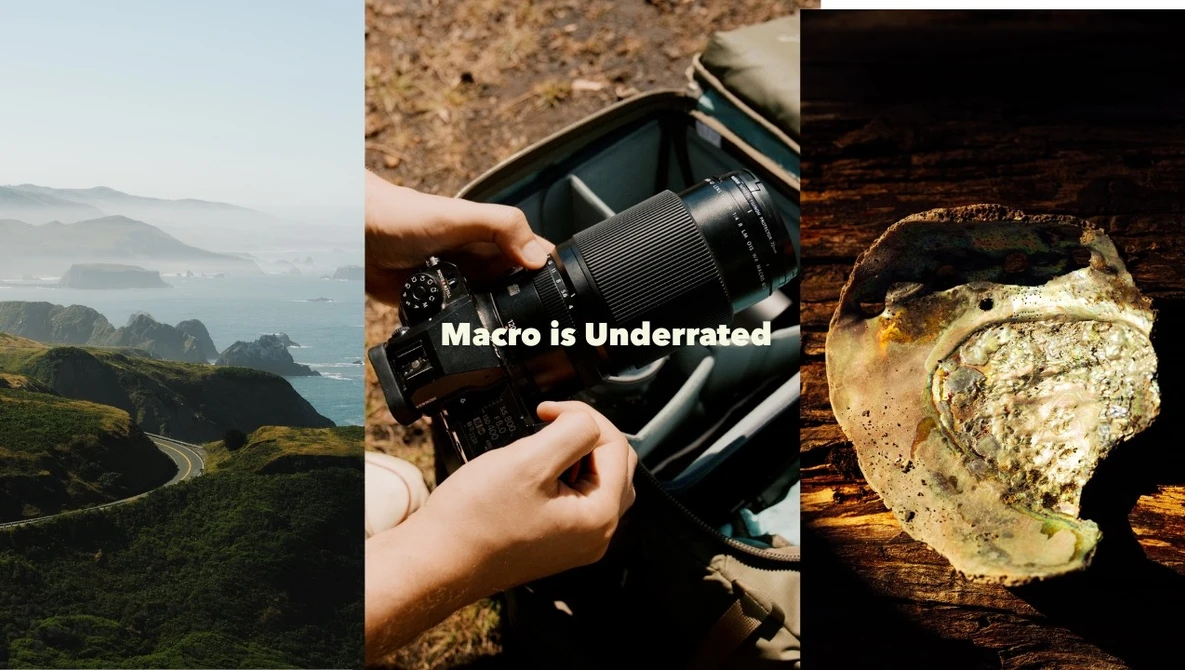 Composite image with landscape, macro lens setup, and close-up with text overlay 'Macro is Underrated'