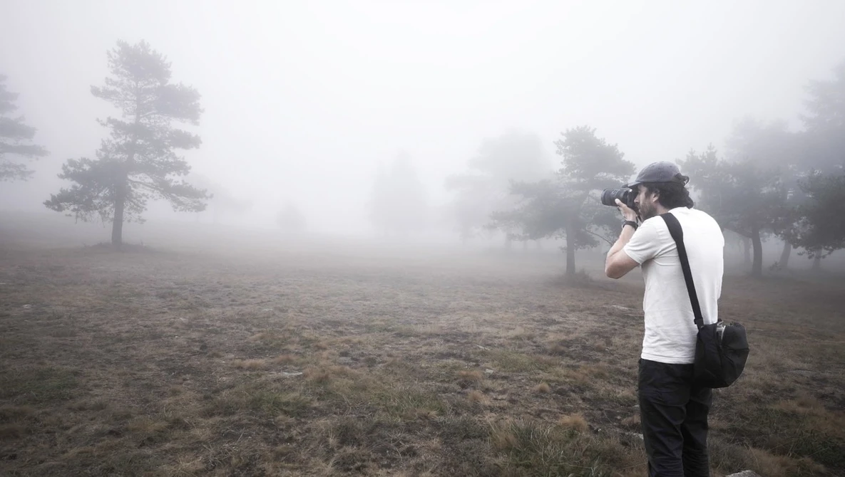 Watch A lovely foggy morning of photography on YouTube.