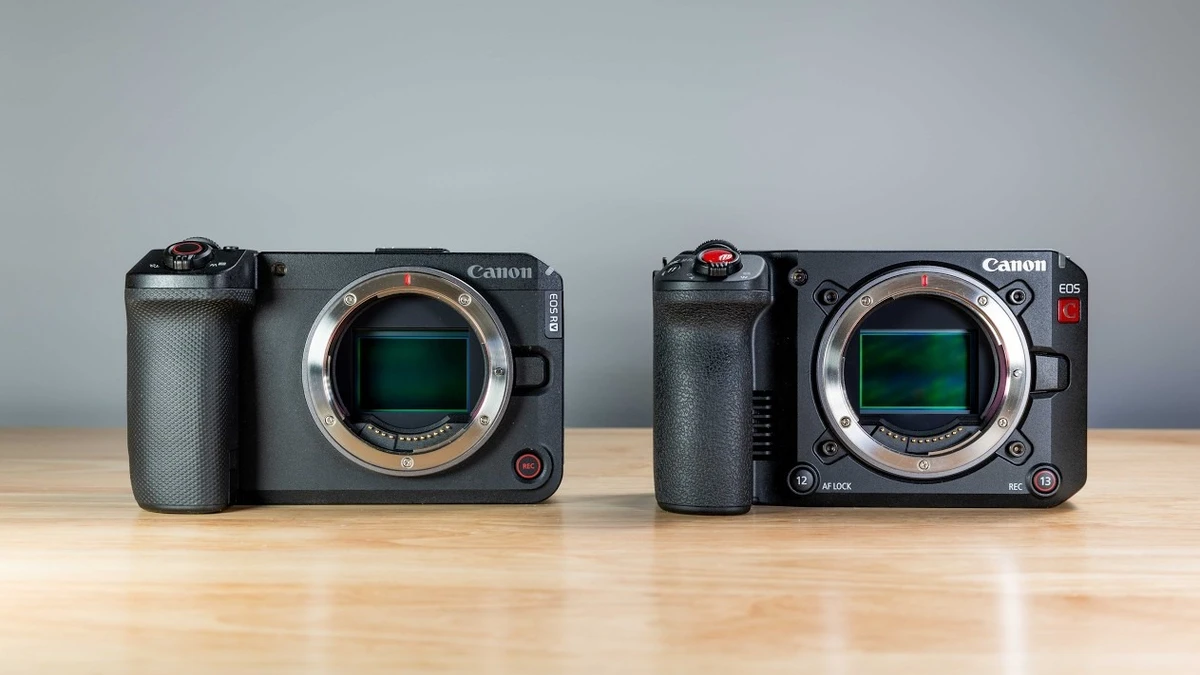 Canon C50 or R6 V: Which One Fits the Way You Work?