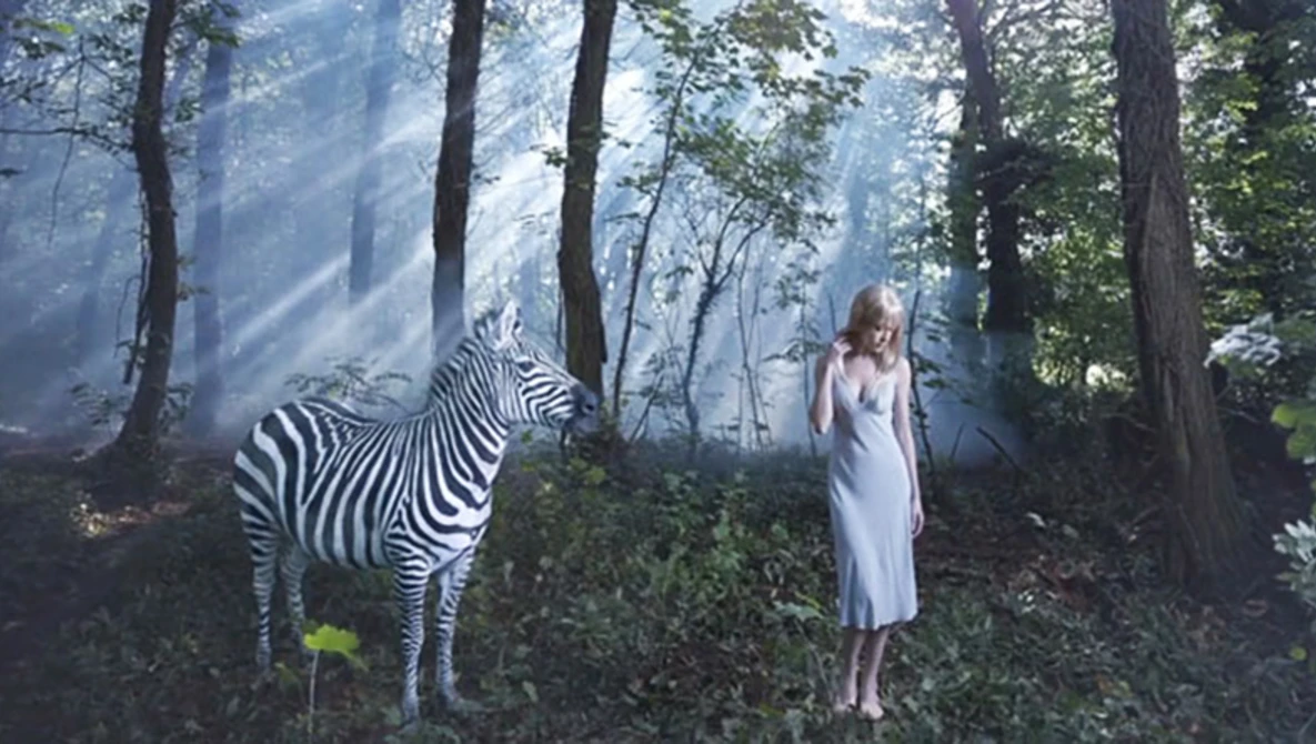Watch Drew Gardner Zebra Photo - Epic Fashion BTS video on YouTube.