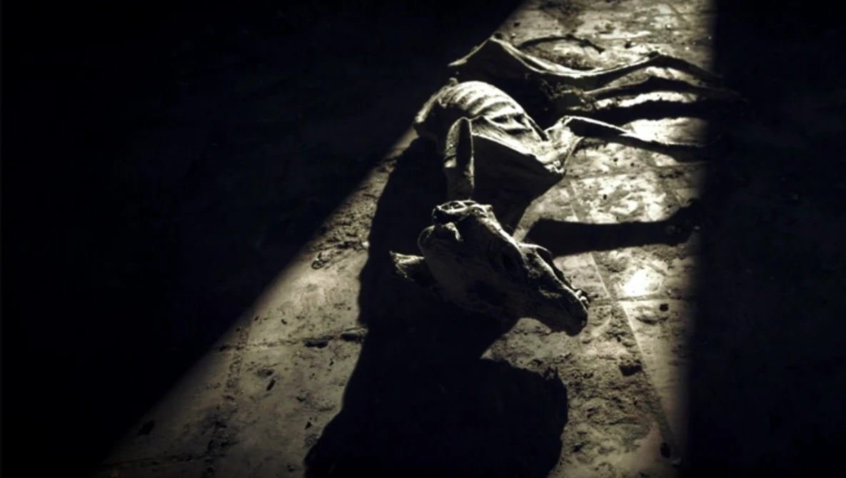 Watch Asylum : Behind the Scenes on Vimeo.