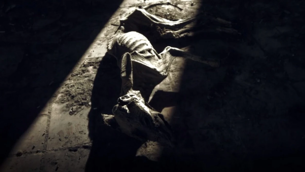 Watch Asylum on Vimeo.