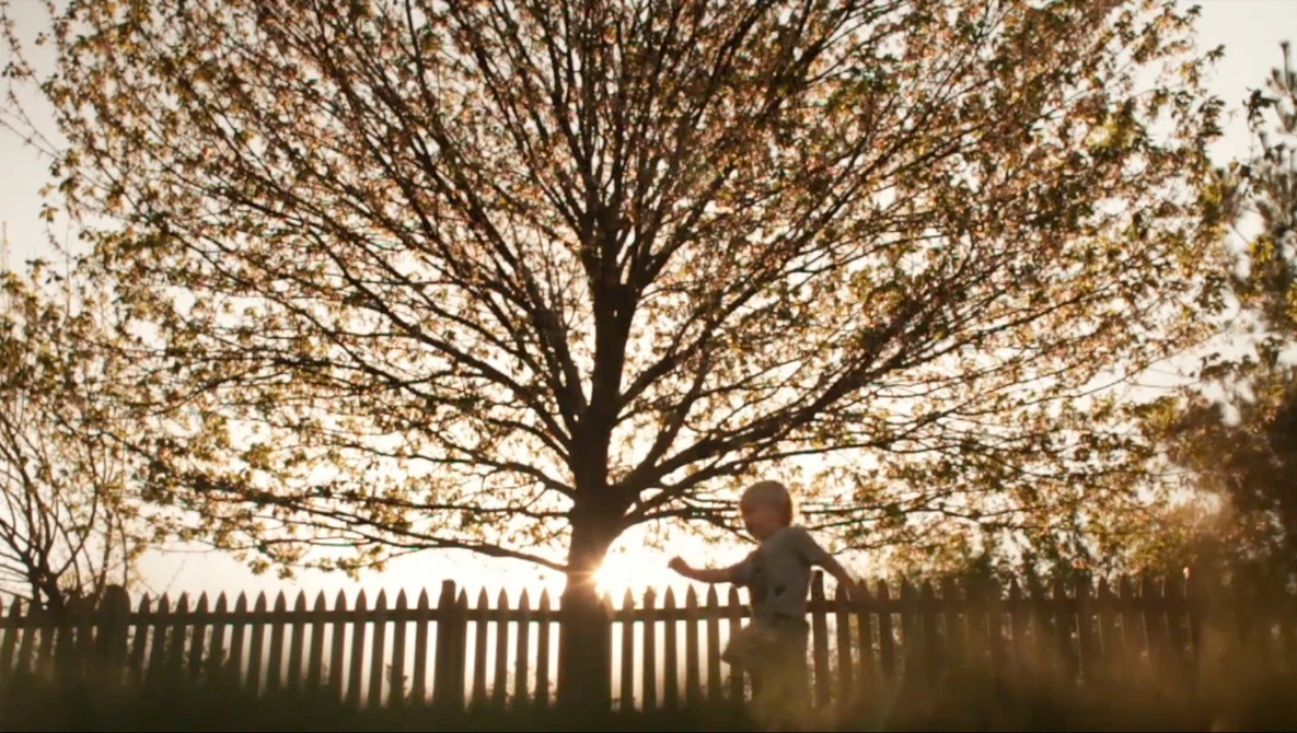 Watch The simple things on Vimeo.