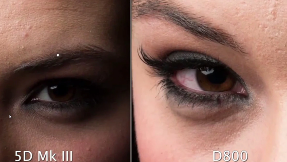 Watch Canon 5D MK III vs Nikon D800 with Nathan Elson on YouTube.