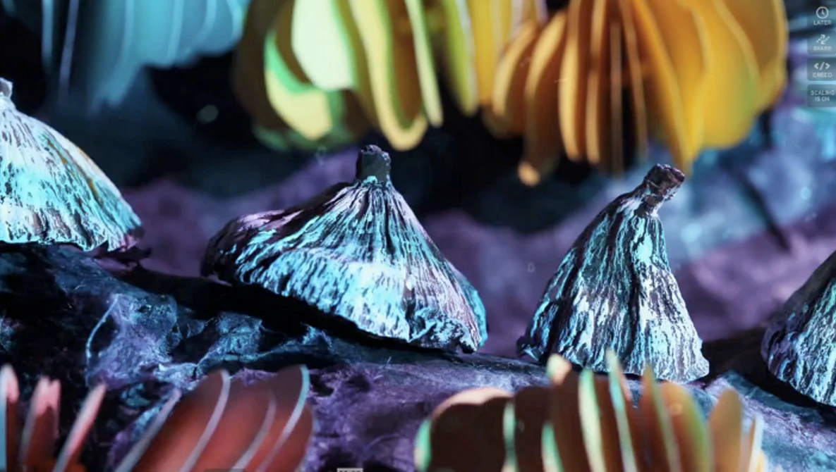 Watch "Bounce Bounce" by Hilary Hahn and Hauschka on Vimeo.