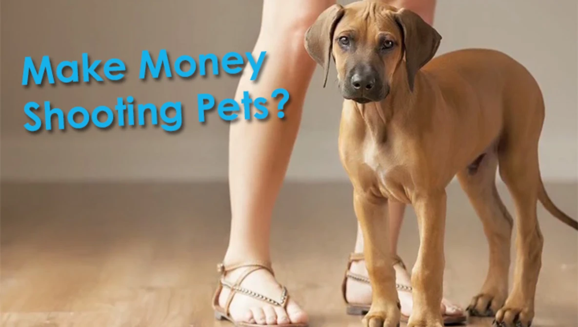 Watch Pets and People Photography - July 26-28, 2012 on YouTube.