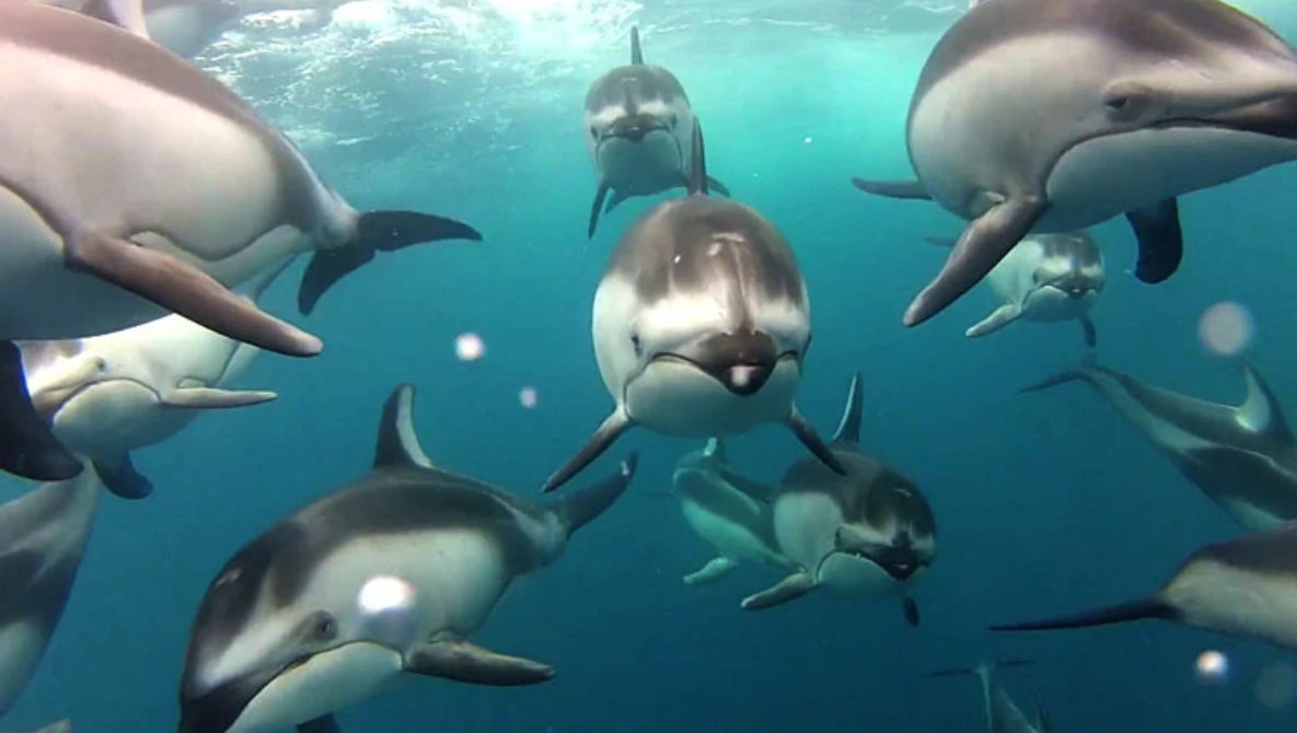 Watch The Blue on Vimeo.