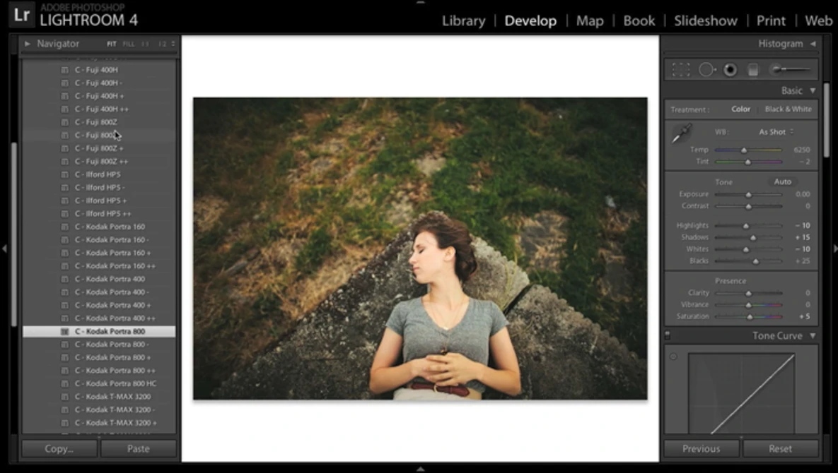 Watch VSCO Film 01 for LR6/5/4 and ACR8/7 Walkthrough on Vimeo.