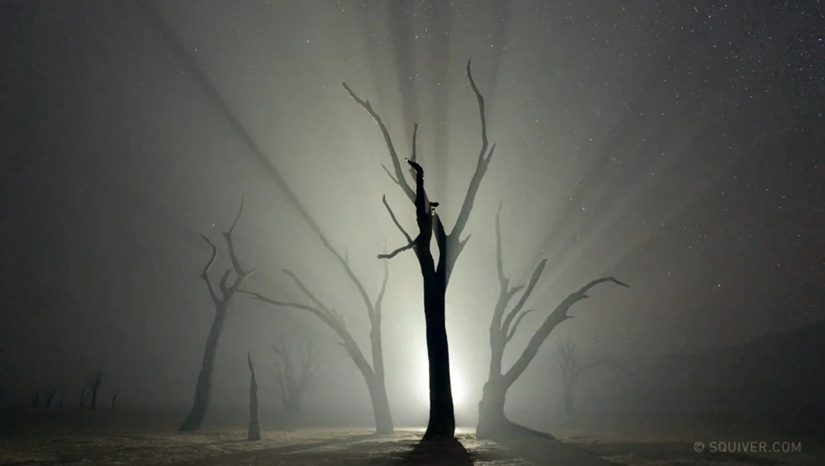 Watch Namibian Nights on Vimeo.